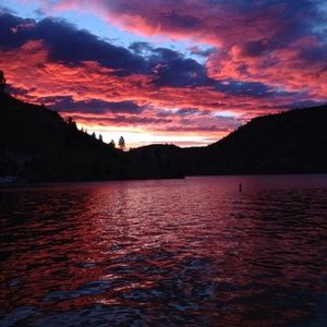 Meet your Posher, Shauna